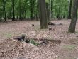 Prpor podpory velenia na intenzvnom vcviku