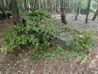 Prpor podpory velenia na intenzvnom vcviku