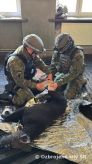 Kynolgia Vojenskej polcie na International K9 Tactical Combat Casuality Care v Posku